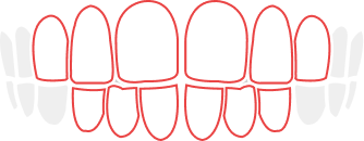 Basic 歯並びイラスト